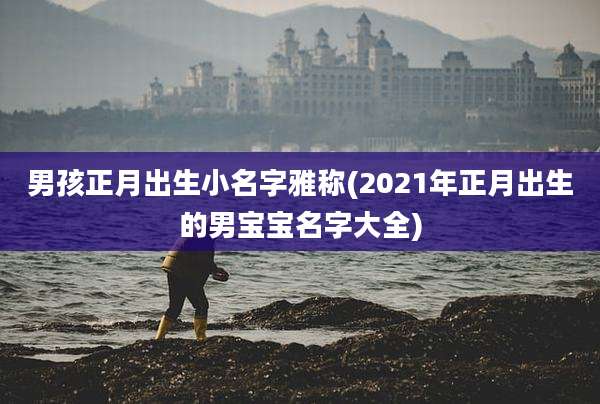 男孩正月出生小名字雅称(2021年正月出生的男宝宝名字大全)