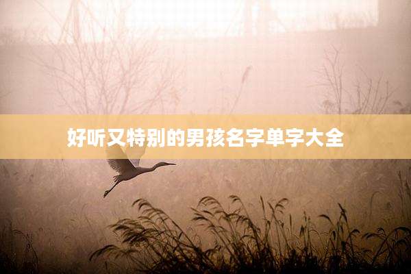 好听又特别的男孩名字单字大全