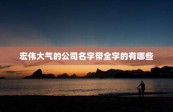 宏伟大气的公司名字带全字的有哪些