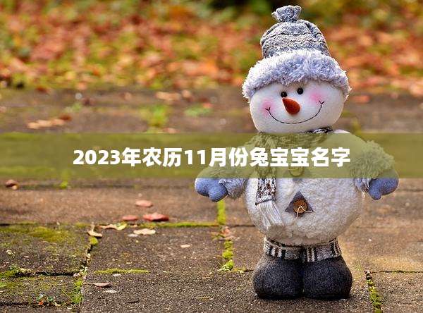 2023年农历11月份兔宝宝名字