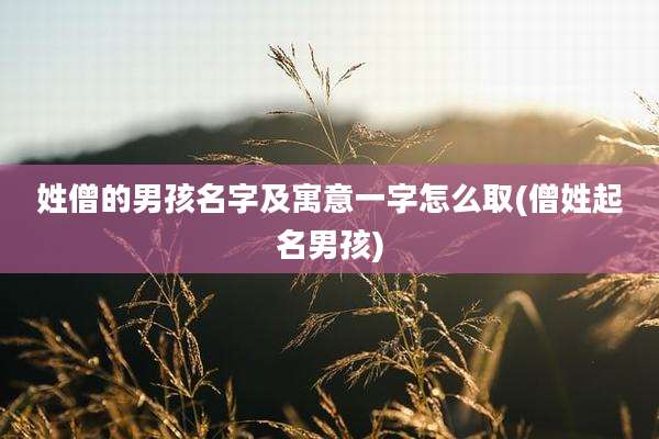 姓僧的男孩名字及寓意一字怎么取(僧姓起名男孩)