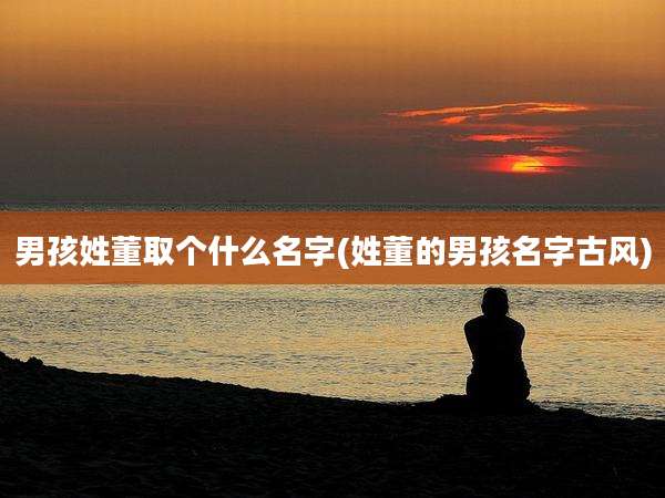 男孩姓董取个什么名字(姓董的男孩名字古风)