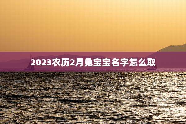2023农历2月兔宝宝名字怎么取
