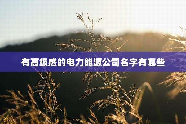 有高级感的电力能源公司名字有哪些