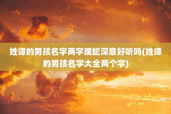 姓谭的男孩名字两字属蛇深意好听吗(姓谭的男孩名字大全两个字)