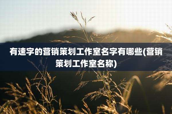 有速字的营销策划工作室名字有哪些(营销策划工作室名称)