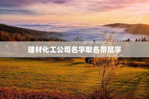 建材化工公司名字取名带尼字