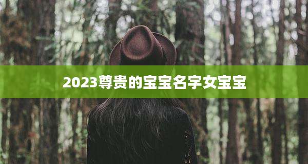 2023尊贵的宝宝名字女宝宝
