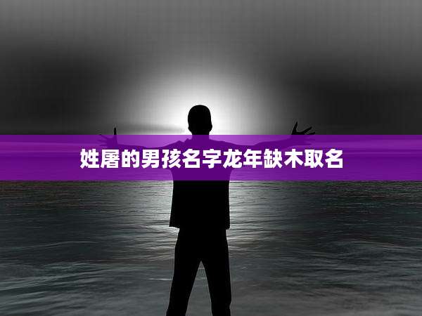姓屠的男孩名字龙年缺木取名