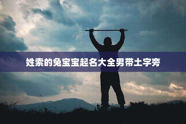 姓索的兔宝宝起名大全男带土字旁