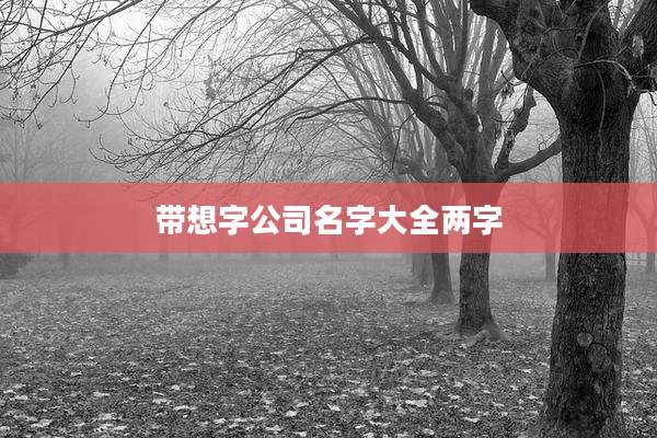 带想字公司名字大全两字