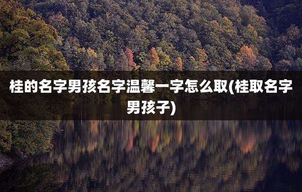桂的名字男孩名字温馨一字怎么取(桂取名字男孩子)