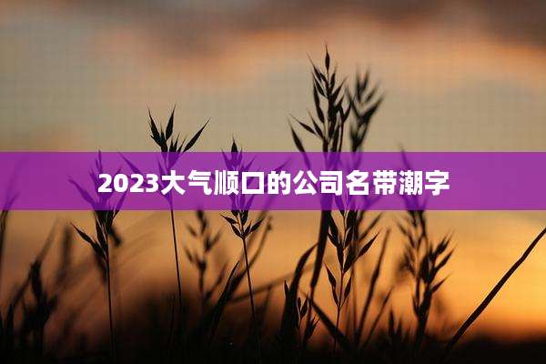 2023大气顺口的公司名带潮字