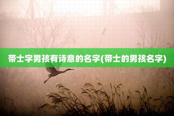 带士字男孩有诗意的名字(带士的男孩名字)