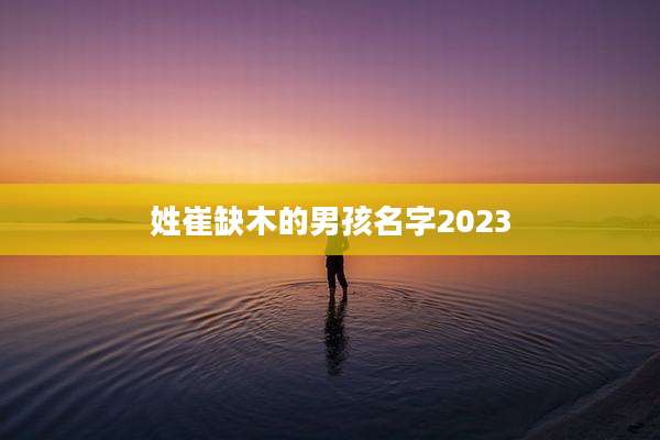 姓崔缺木的男孩名字2023