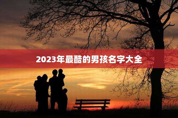2023年最酷的男孩名字大全
