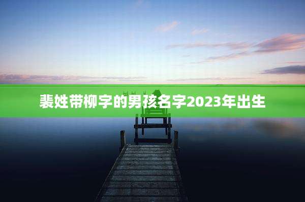 裴姓带柳字的男孩名字2023年出生