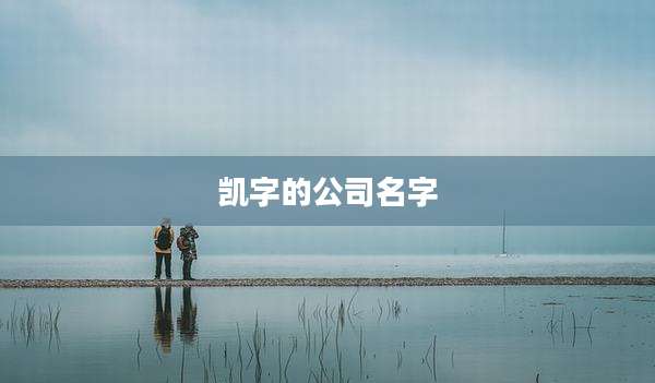 凯字的公司名字