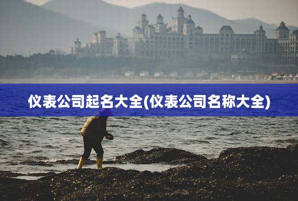 仪表公司起名大全(仪表公司名称大全)
