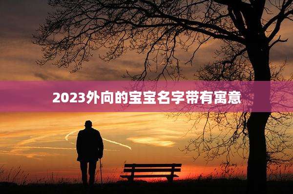 2023外向的宝宝名字带有寓意