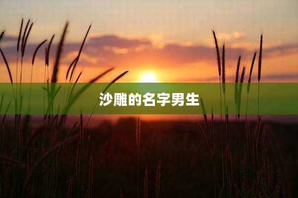 沙雕的名字男生