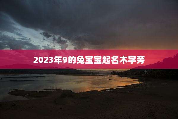 2023年9的兔宝宝起名木字旁