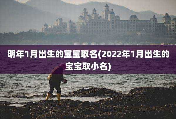 明年1月出生的宝宝取名(2022年1月出生的宝宝取小名)