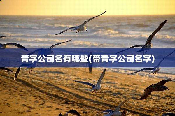 青字公司名有哪些(带青字公司名字)