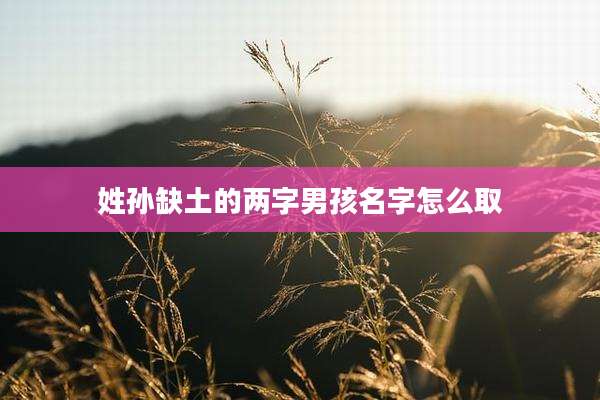 姓孙缺土的两字男孩名字怎么取