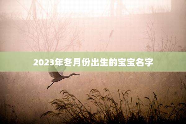 2023年冬月份出生的宝宝名字