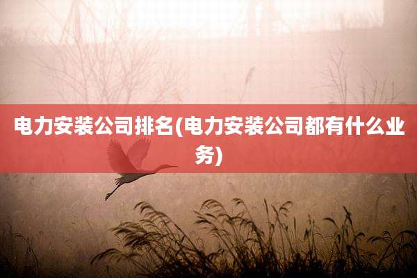 电力安装公司排名(电力安装公司都有什么业务)