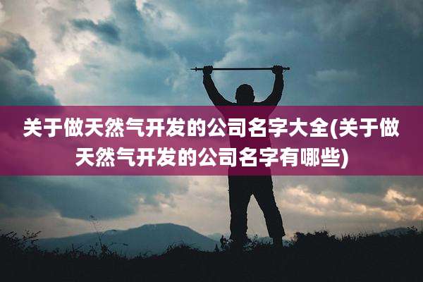 关于做天然气开发的公司名字大全(关于做天然气开发的公司名字有哪些)