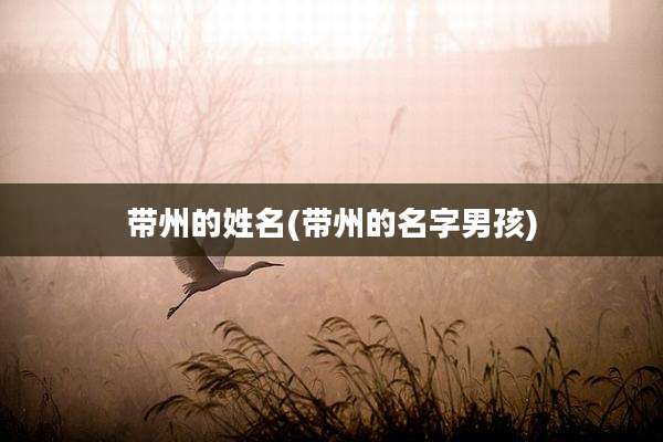 带州的姓名(带州的名字男孩)