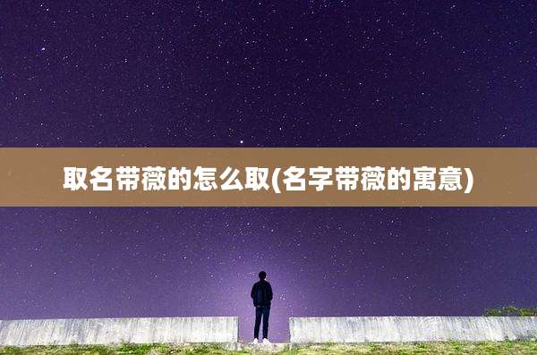 取名带薇的怎么取(名字带薇的寓意)