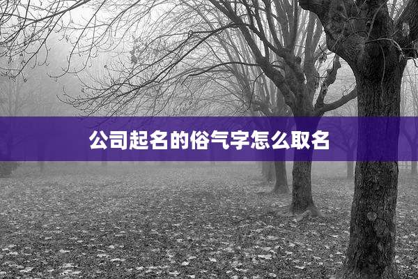 公司起名的俗气字怎么取名
