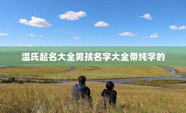 温氏起名大全男孩名字大全带纯字的