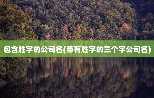 包含胜字的公司名(带有胜字的三个字公司名)