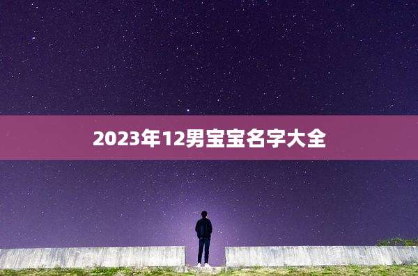 2023年12男宝宝名字大全