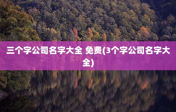 三个字公司名字大全 免费(3个字公司名字大全)