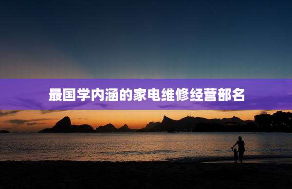最国学内涵的家电维修经营部名