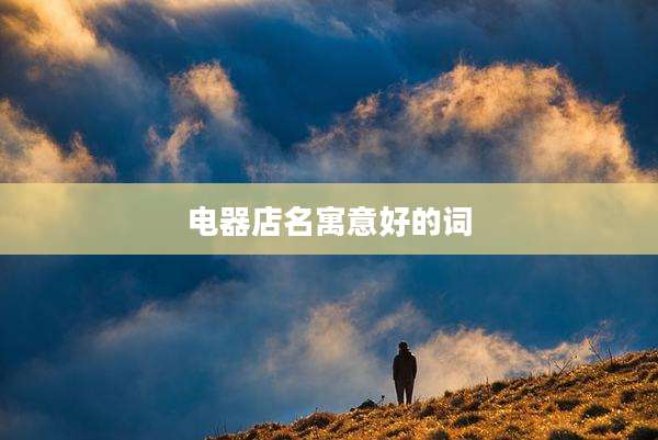 电器店名寓意好的词