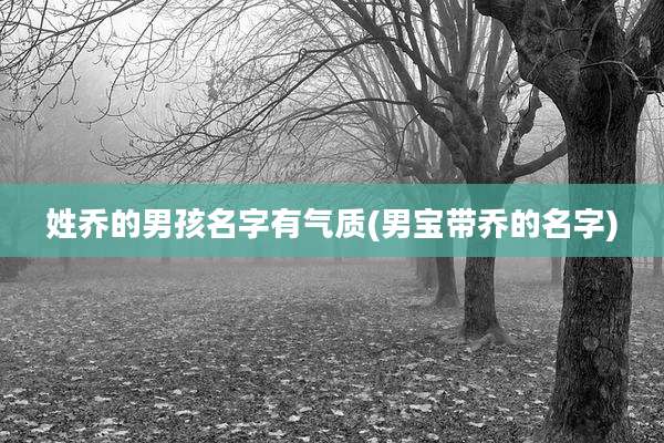 姓乔的男孩名字有气质(男宝带乔的名字)
