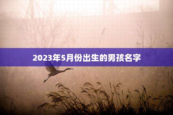 2023年5月份出生的男孩名字