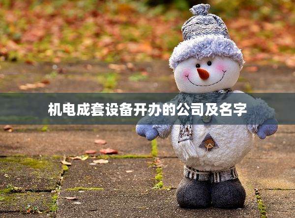 机电成套设备开办的公司及名字