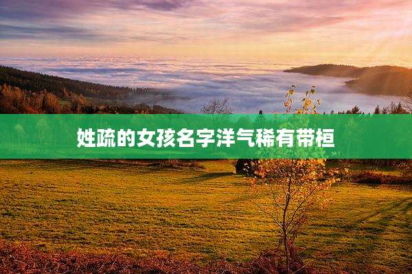 姓疏的女孩名字洋气稀有带桓