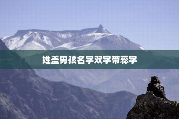 姓盖男孩名字双字带蕊字