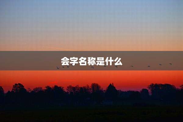 会字名称是什么