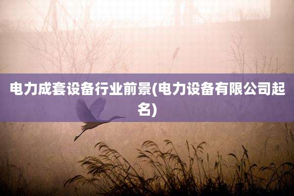 电力成套设备行业前景(电力设备有限公司起名)