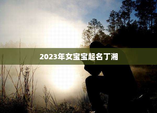 2023年女宝宝起名丁湘