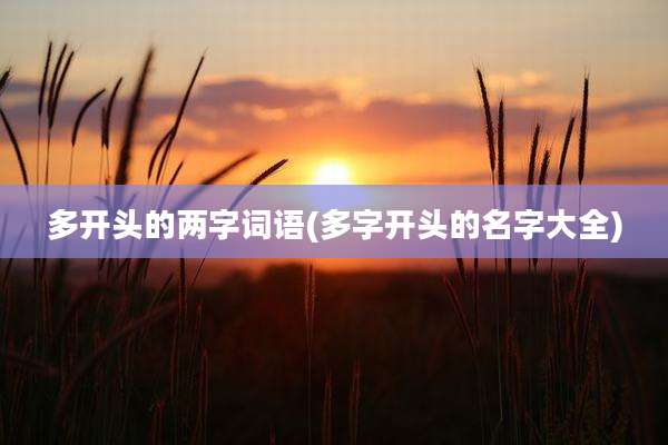多开头的两字词语(多字开头的名字大全)